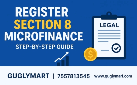 Step-by-Step Guide to Register a Section 8 Microfinance Company